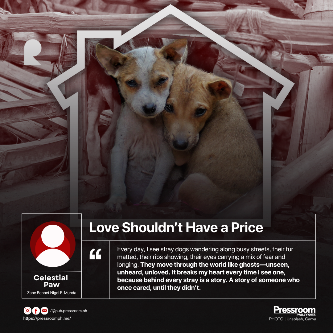 Love Shouldn’t Have a Price
