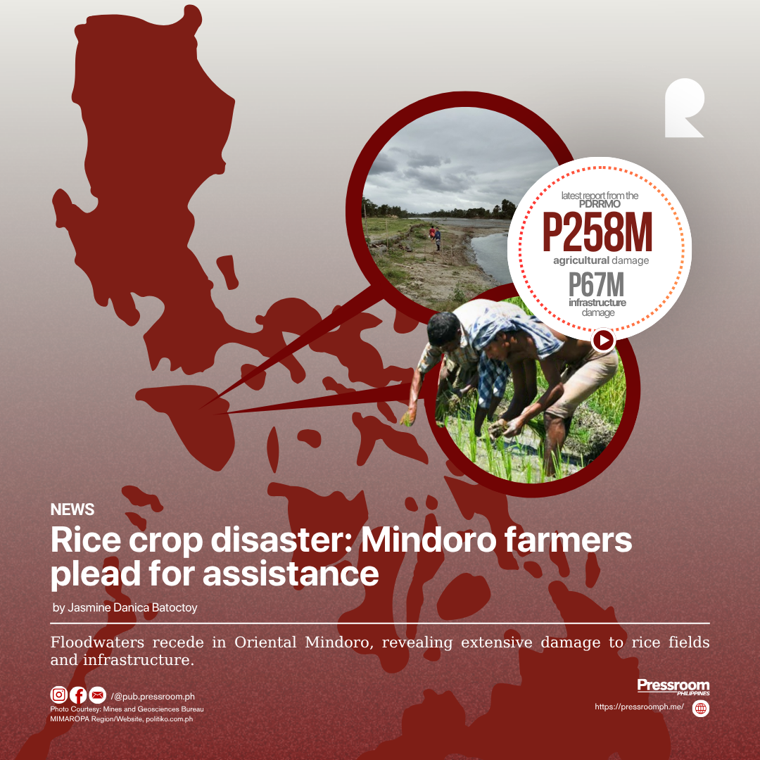 Rice crop disaster: Mindoro farmers plead for assistance 