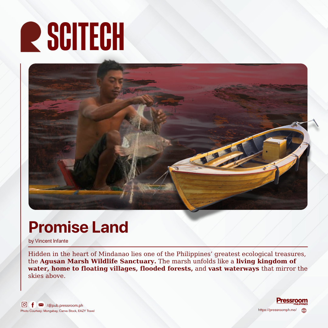 Promise Land
